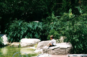 ianaudubon.jpg